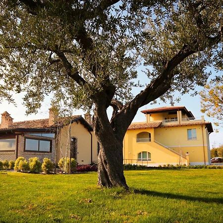 Agriturismo Biocore 2 - Colledoro 朱利亚诺瓦 外观 照片