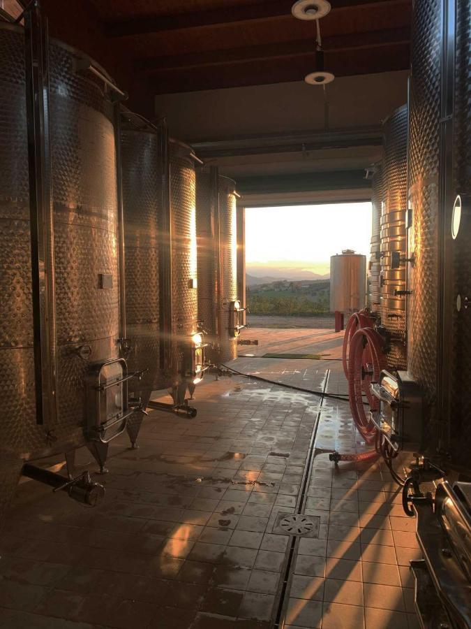 Agriturismo Biocore 2 - Colledoro 朱利亚诺瓦 外观 照片